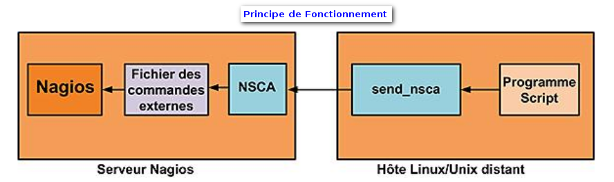 nsca_principe.png